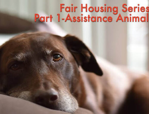 Part 1 of Fair Housing Series: Assistance Animals